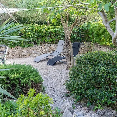 My Dalmatia - Jadrija