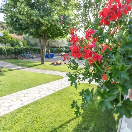 My Dalmatia - Jadrija * Šibenik