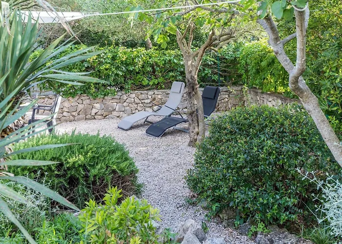 My Dalmatia - Jadrija