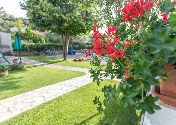 My Dalmatia - Jadrija * Šibenik